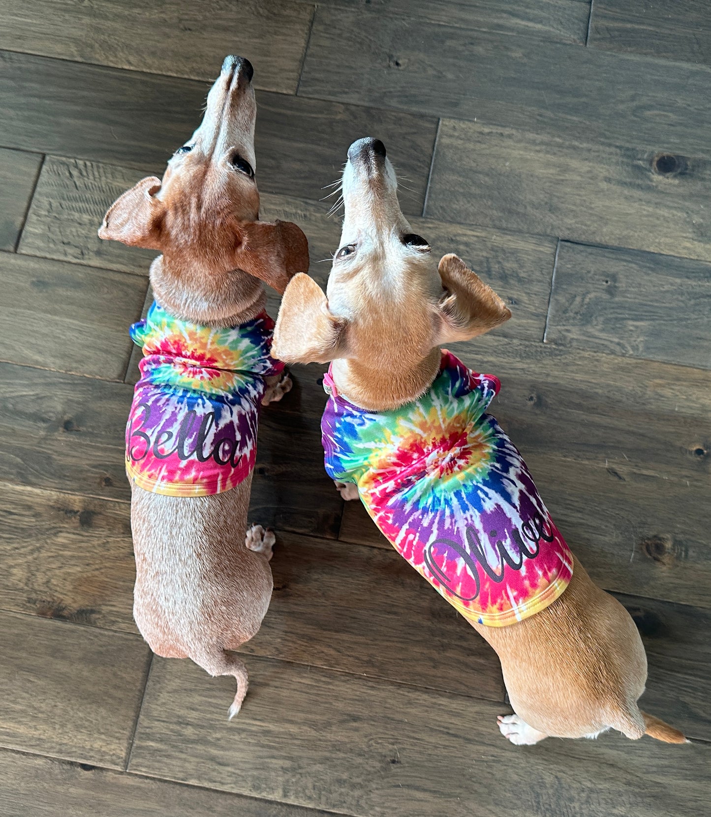 Dog Tanks