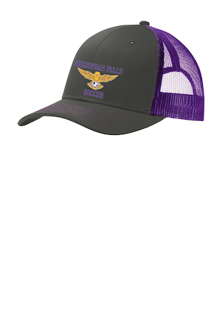 Grey/Purple Snap Back Hat